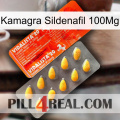 Kamagra Sildenafil 100Mg new01